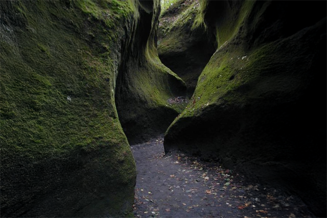moss canyon hellojapan.asia