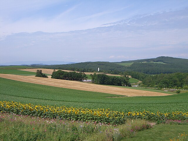 patchwork hills biei panoramio